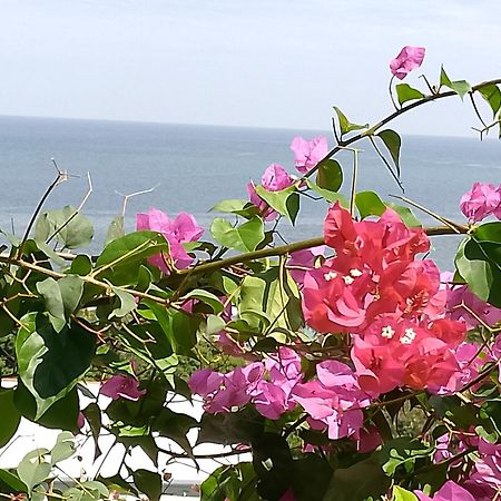 Colibri Lodge 阿姆巴托洛阿卡 外观 照片