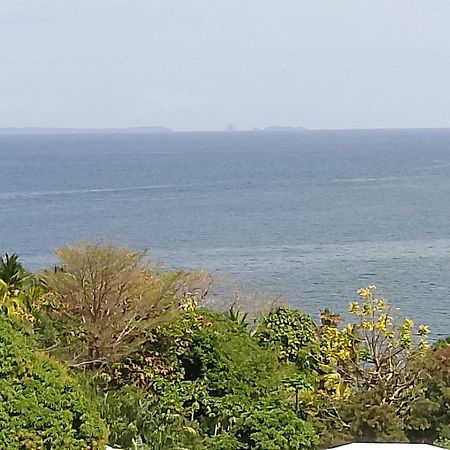 Colibri Lodge 阿姆巴托洛阿卡 外观 照片