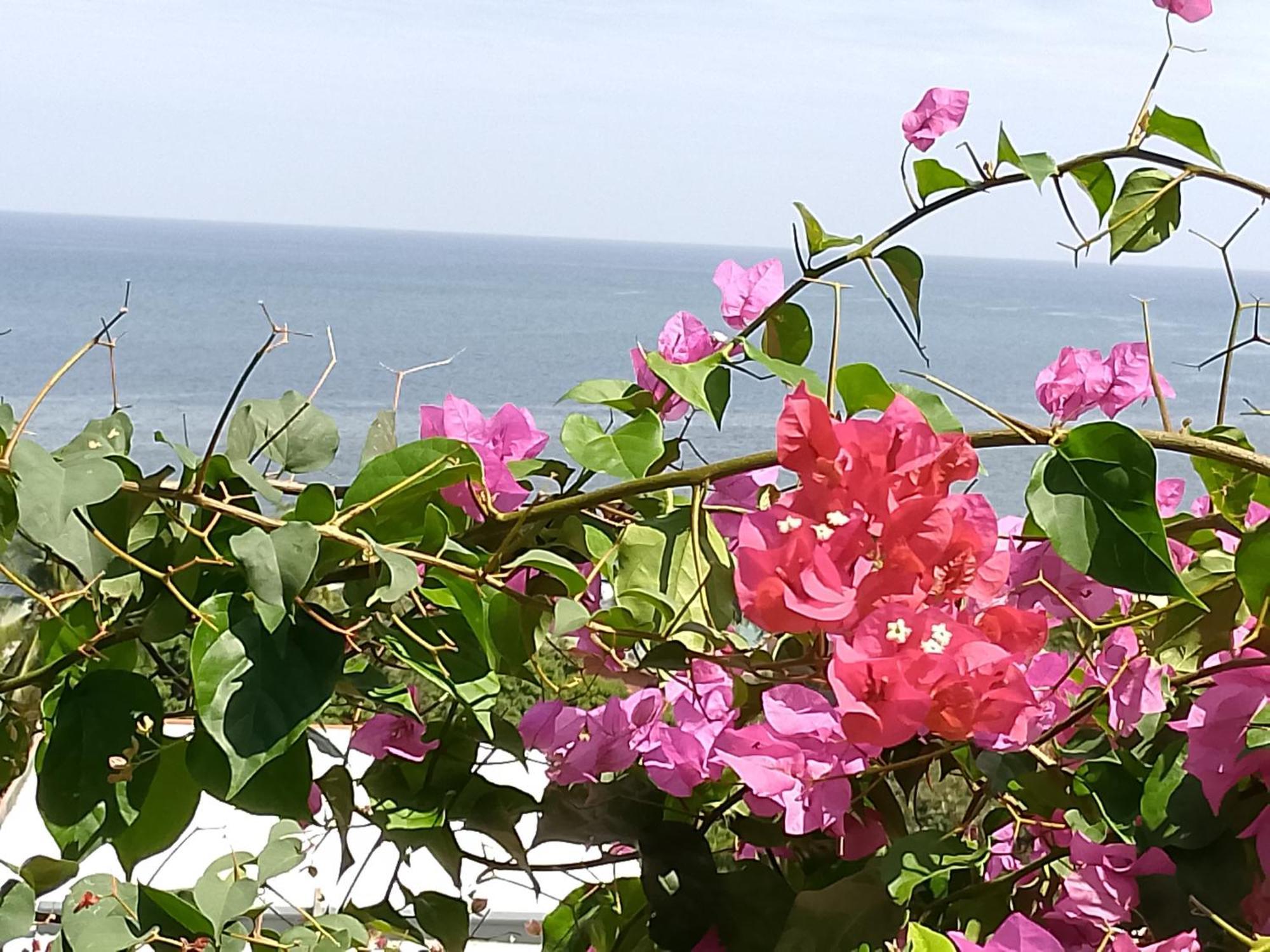 Colibri Lodge 阿姆巴托洛阿卡 外观 照片