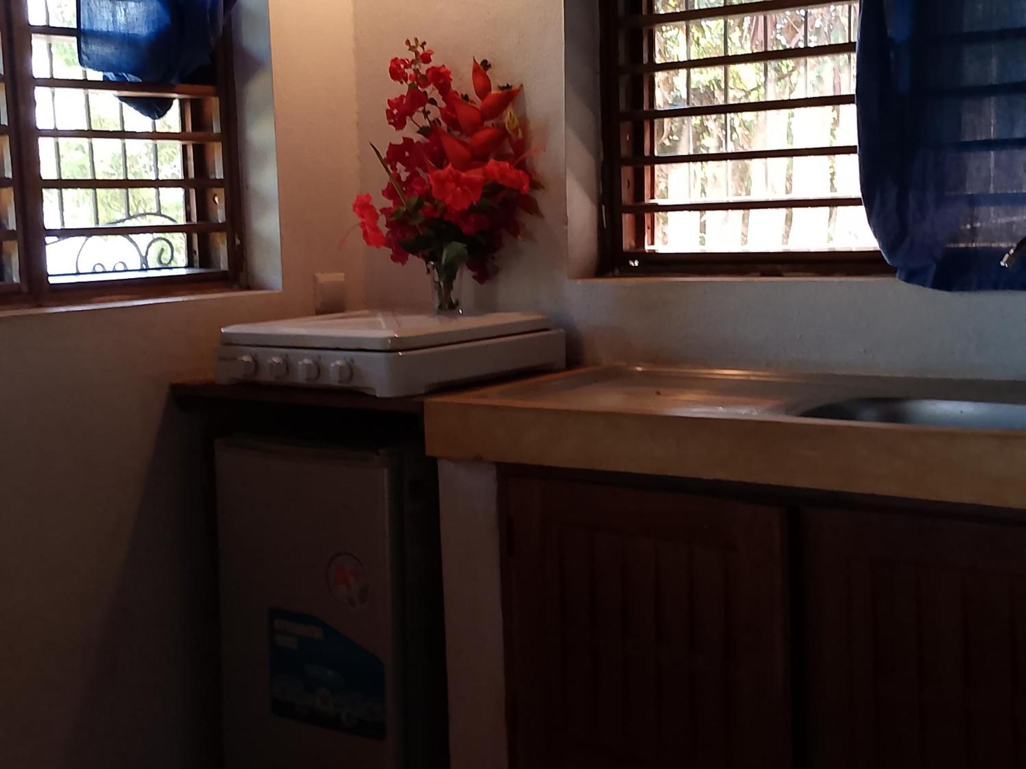 Colibri Lodge 阿姆巴托洛阿卡 外观 照片